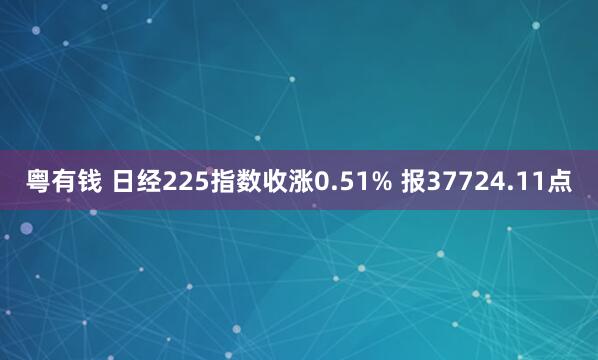 粤有钱 日经225指数收涨0.51% 报37724.11点
